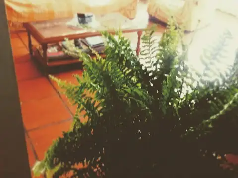 Ochoa nº 328 e/Loreto y Hugo del Carril