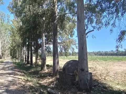 Campo en Venta de 7  ha