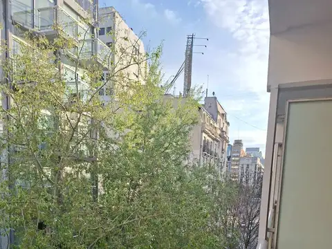 Mono a pasos de la uade  divino