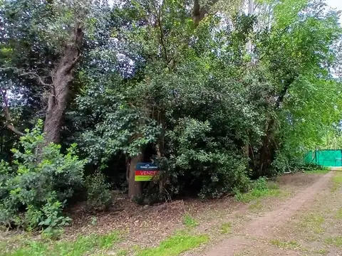Terreno en Venta 23  mts Fondo