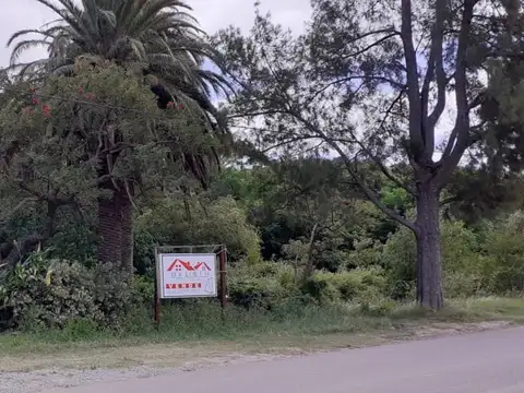 Terreno en Venta de 6312,0 m2