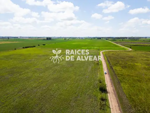 Terreno en barrio cerrado , raices de alvear 