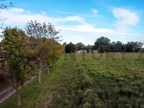 Chacra - Campo en Venta. 4, 8 hectareas en 25 y 610
