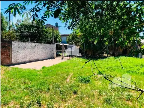 Terreno en Venta 10  mts Frente