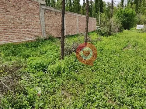 Terreno en Venta 25  mts Fondo