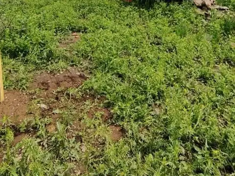 Terreno en Loteo Don Vicente