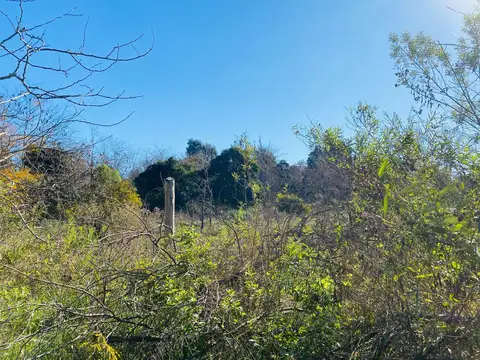 Terreno en Venta 48  mts Frente