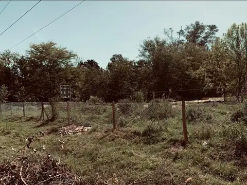 La Bota