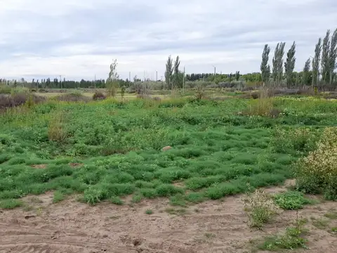 VENTA TERRENO - LOTEO PORTAL DEL RÍO - CERVANTES