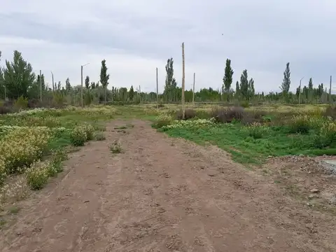 Terreno en Venta de 245,0 m2