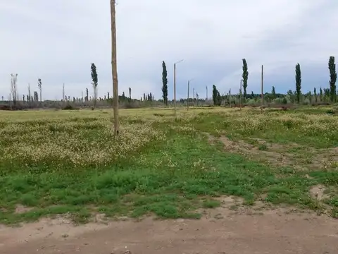 Ceferino Namuncurá