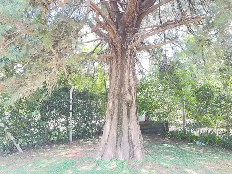 Terreno en Venta en La Fraternidad, USD 58.000