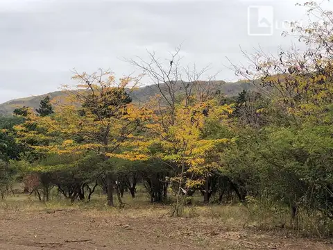 Villa Elena Norte Condominio El Algarrobo Preventa Exclusiva