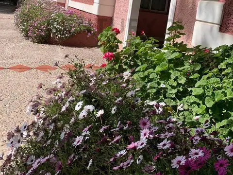 Tirasso 2100, Piso 0