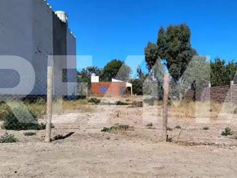 Caleta de los Loros 600