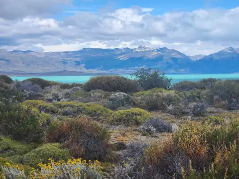 Campo en Venta en El Calafate, Lago Argentino