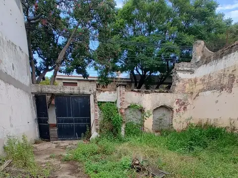 ALMAFUERTE al 1000