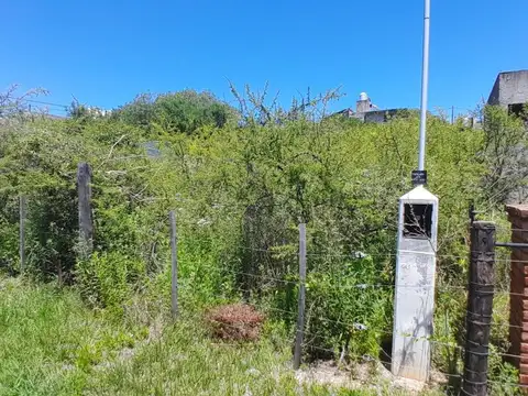 Raúl Ricardo Alfonsín 300