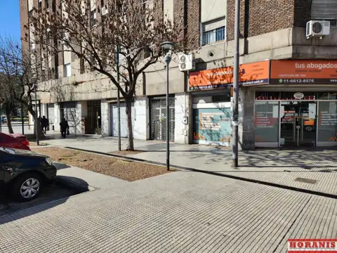 Constitucion 1100