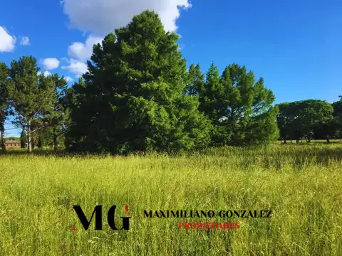 Terreno en Venta 29  mts Fondo