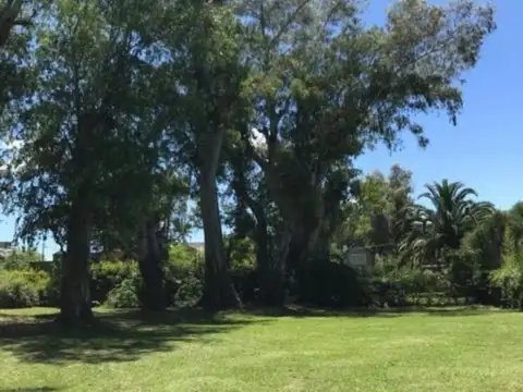 FINCAS DE MASCHW TERRENO EN BARR CONSOLIDADO.ING. MASCHWITZ