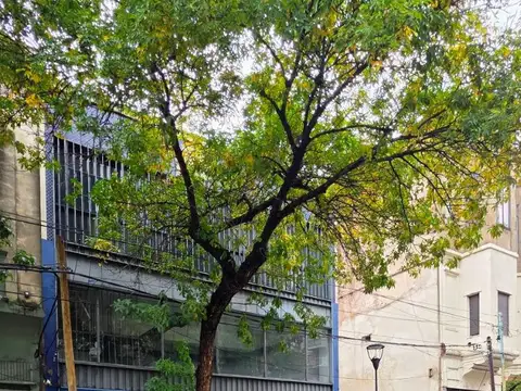 Avenida Almirante Brown 1300