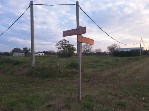 Terreno en Venta de 732,0 m2