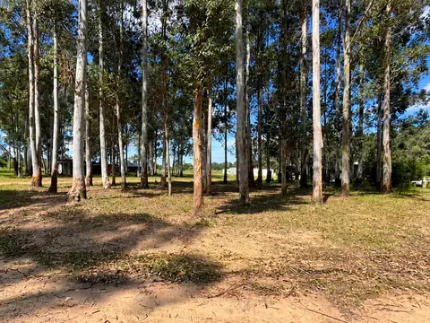 Terreno en Venta en Colon, Colón