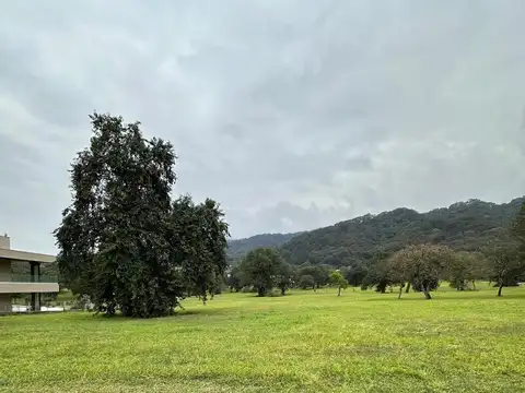 Terreno en Venta 61  mts Fondo