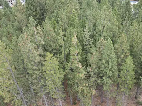 Lote plano de 1073mts con inmejorables vistas en venta, Club de Campo Dos Valles, Bariloche
