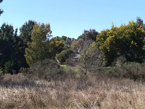 Terreno en Venta de 16000,0 m2