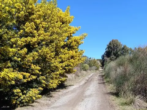 EXCELENTE FRACCIÓN - 1,6ha. Mejor Zona Tandil