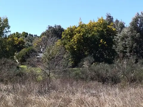 Terreno en Venta en Tandil, USD 300.000