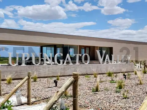 Terreno en Venta en Countries y Barrios Cerrados en Tupungato, USD 56.000