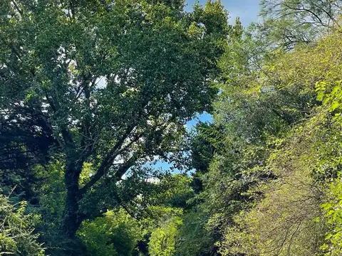 Terreno en Venta 41,10  mts Frente