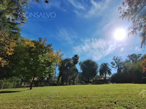LA PATRIA  al 400
