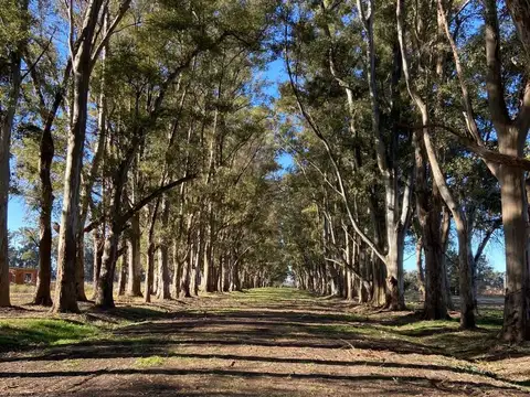 Chacras de San Andrés