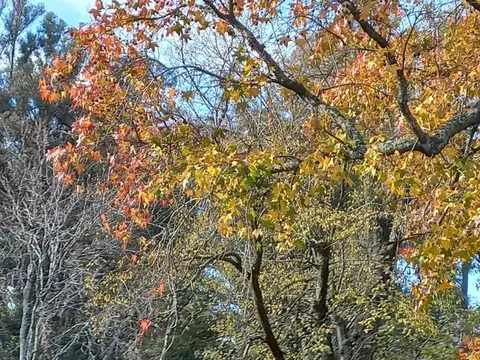 Terreno en Venta en San Andres De Giles, USD 38.000