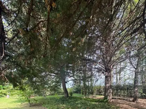 Casa en Venta 40 años