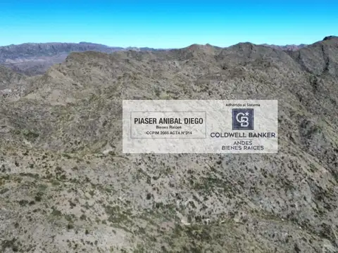 Cuadro Benegas
