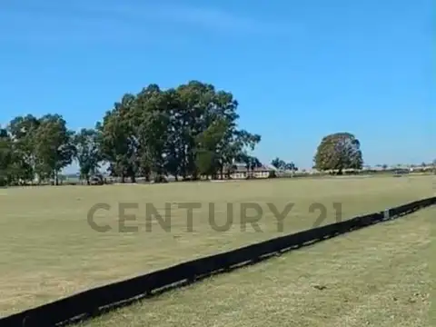 ALQUILER/CAMPO ECUESTRE/20 HECTAREAS/LA PLATA