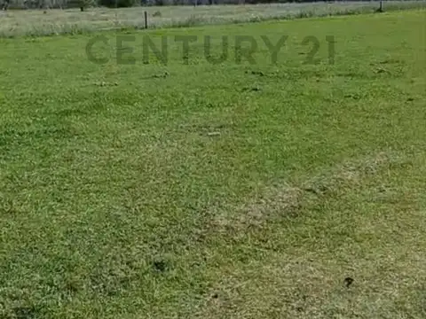ALQUILER/CAMPO ECUESTRE/20 HECTAREAS/LA PLATA