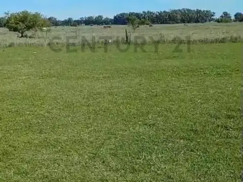 ALQUILER/CAMPO ECUESTRE/20 HECTAREAS/LA PLATA