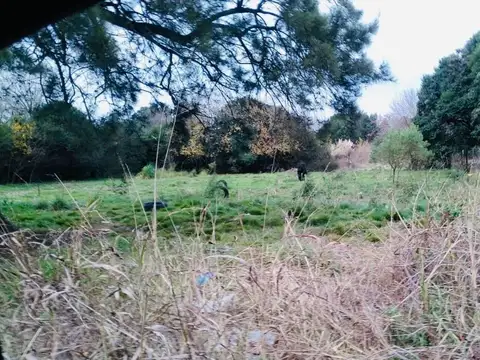 VENTA de Lote industrial EXCELENTE ACCESO.