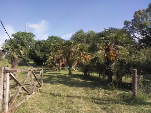 Campo en venta - 3 Dormitorios 1 Baño - Cochera - 33.611Mts2 - Tandil