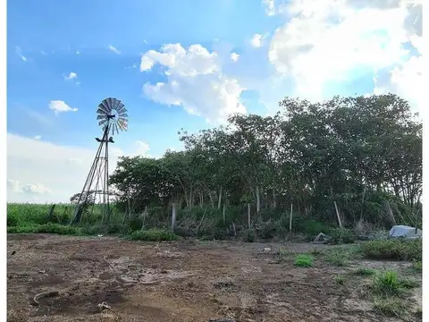 Campo en Venta de 178  ha