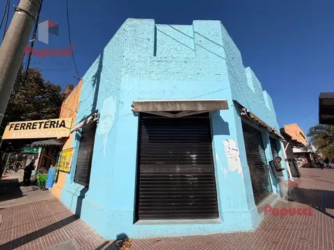8 LOCALES EN FUNCIONAMIENTO + TERRENO 722 m² | ESQUINA COMERCIAL
