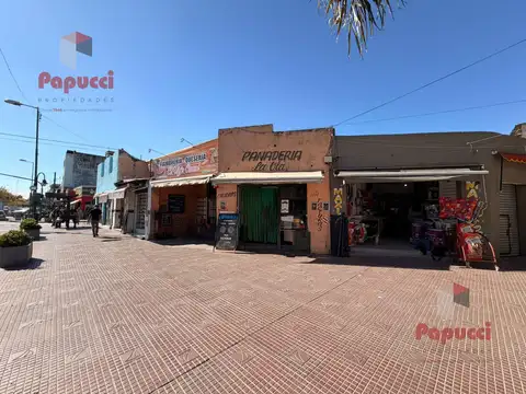 8 LOCALES EN FUNCIONAMIENTO + TERRENO 722 m² | ESQUINA COMERCIAL