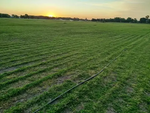 Campo en venta - 15.000Mts2 - Baradero