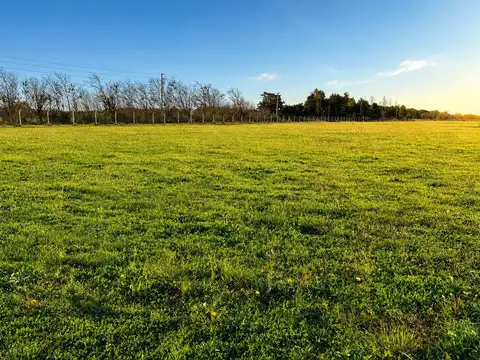 Terreno en Venta en General Rodriguez, USD 26.000